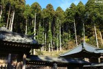 Koyasan – Tokugawa Clan Mausoleum&nbsp;(3)