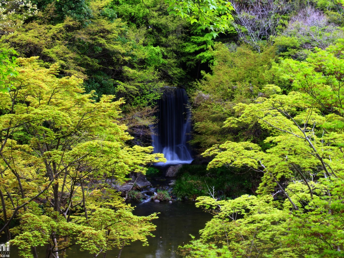 ▶ Let&rsquo;s Start Again : Kimi no Nikki (avril&nbsp;2021)