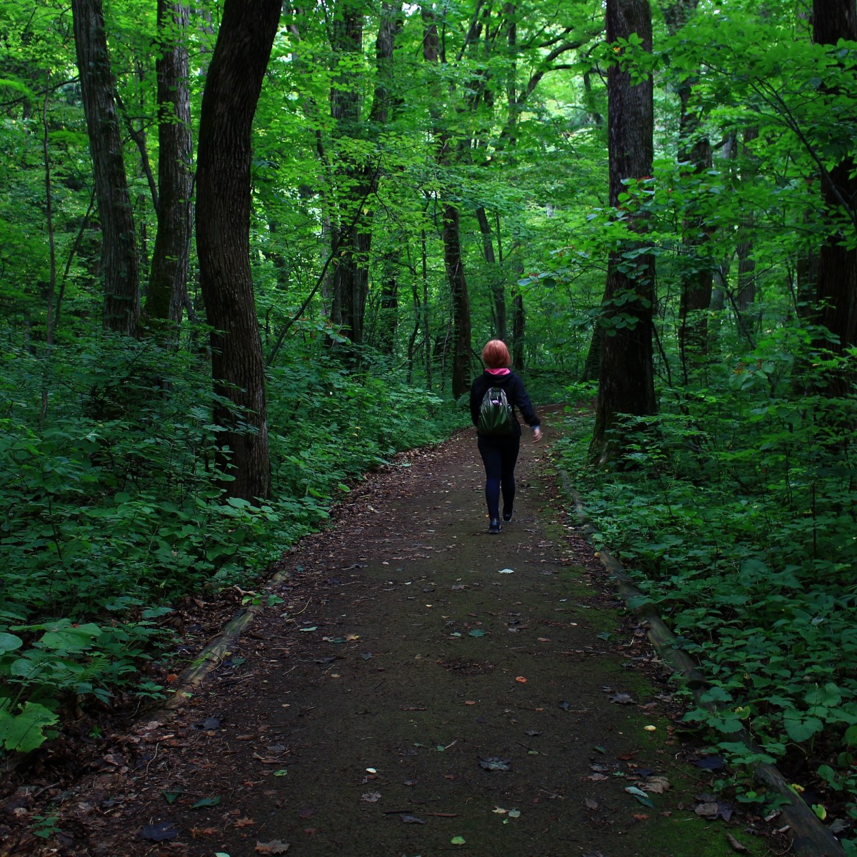 ▶ Road trip de Tokyo à Aomori : Le&nbsp;Kimitinéraire