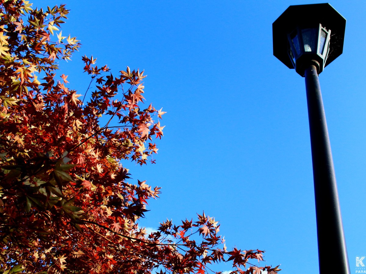 ▶ Positive Fighter : Kimi no Nikki (novembre&nbsp;2021)