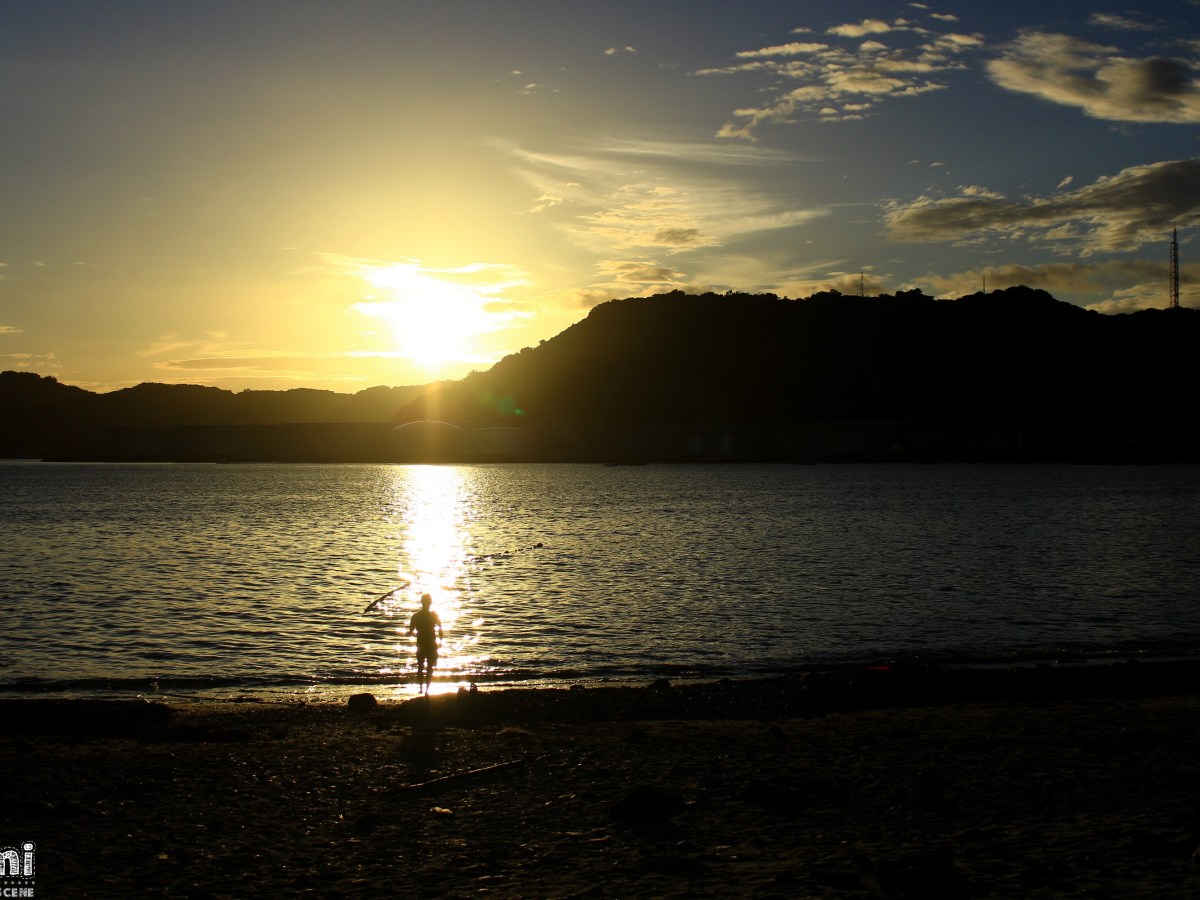 ▶ The Feels : Kimi no Nikki (juillet~août&nbsp;2022)