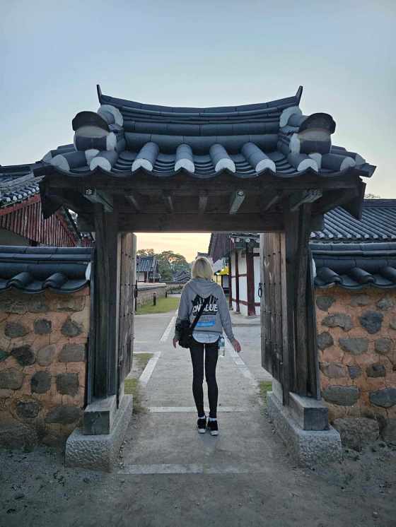 ▶ 22 juin 2024 ; 9 ans au Japon&nbsp;(日本で９年間が経った)